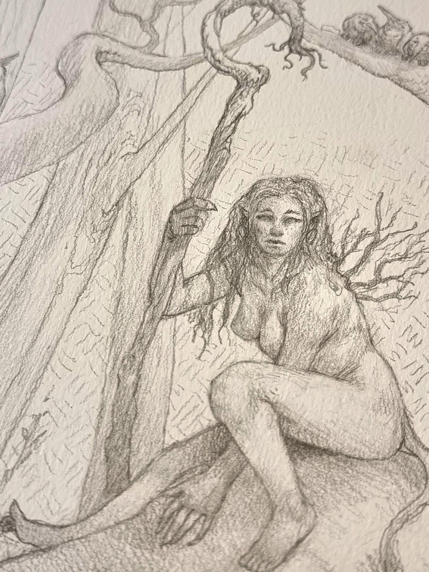 Naturens Mangfoldighed - Original tegning A3
