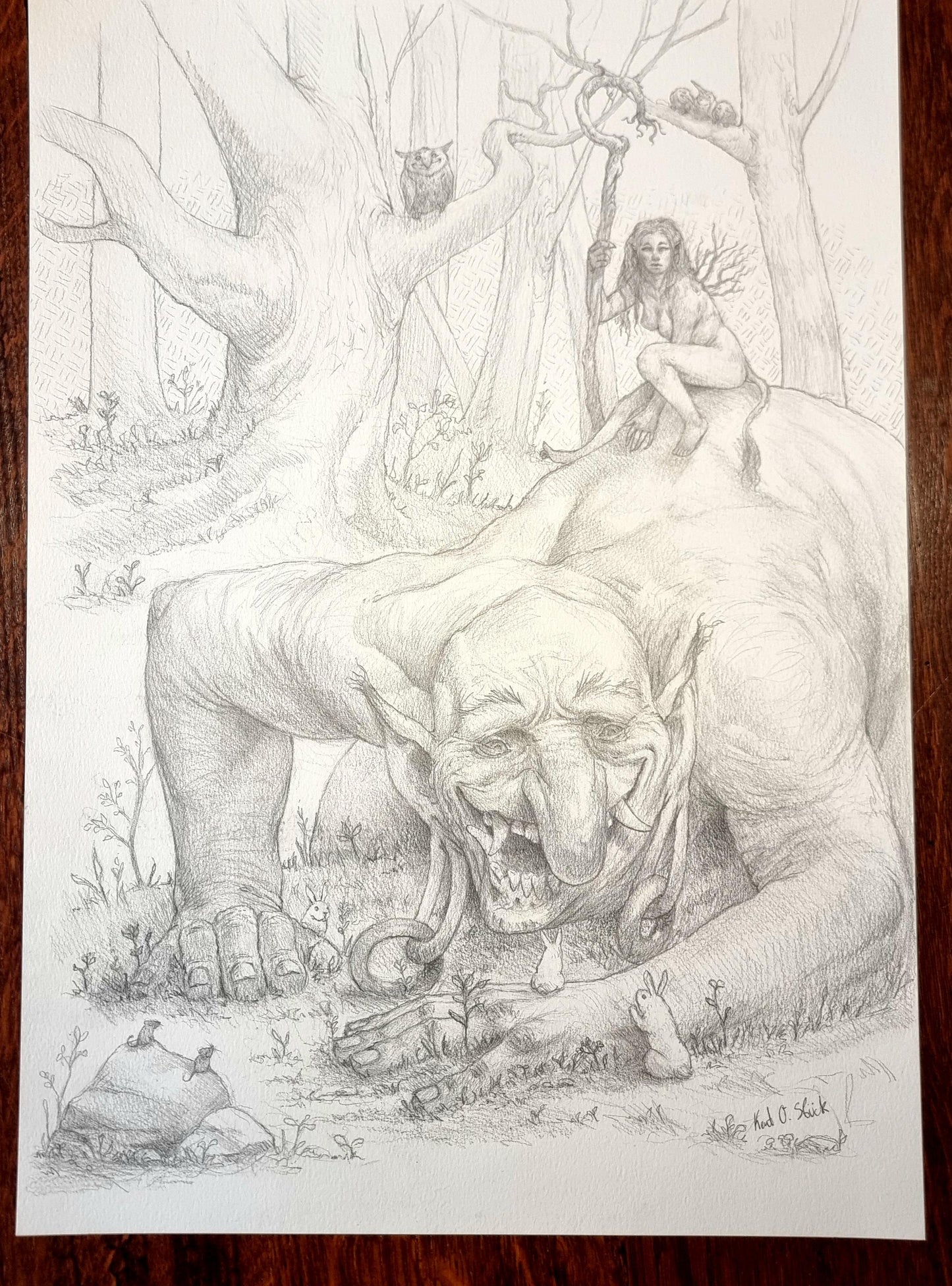 Naturens Mangfoldighed - Original tegning A3