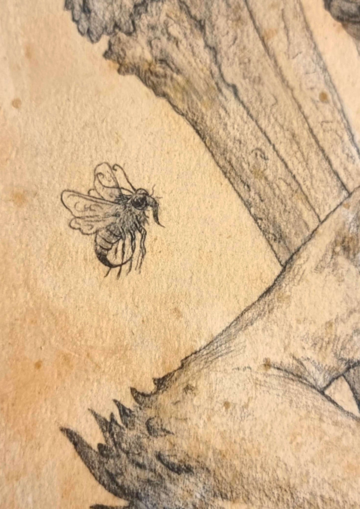 Bael(Zebub) _ Nummereret og signeret