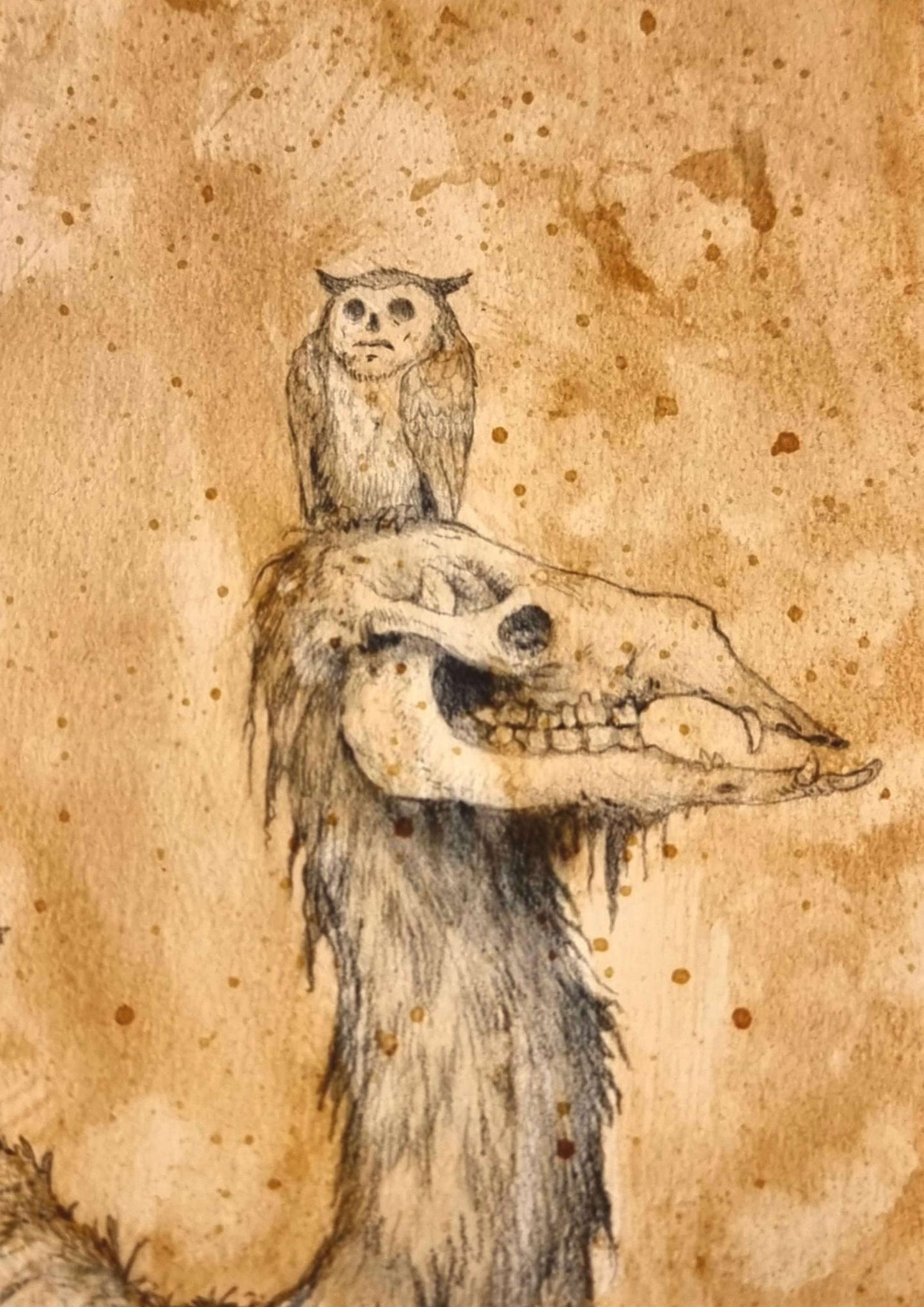 Paimon _ Nummereret og signeret